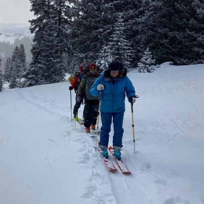 vail sightseeing tours​ shuttle